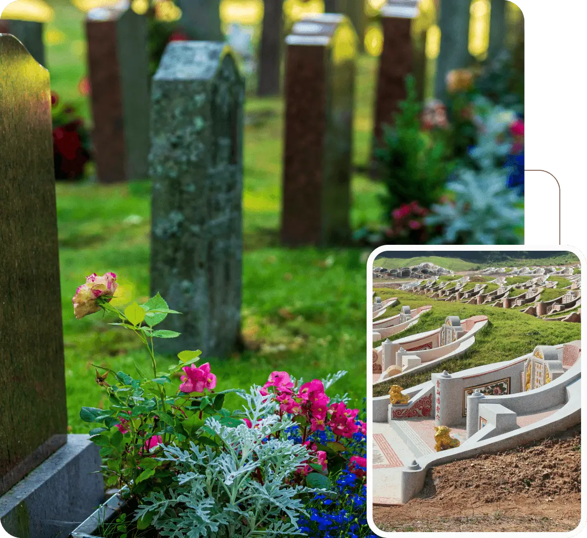 Mossy upright headstones with pink flowers